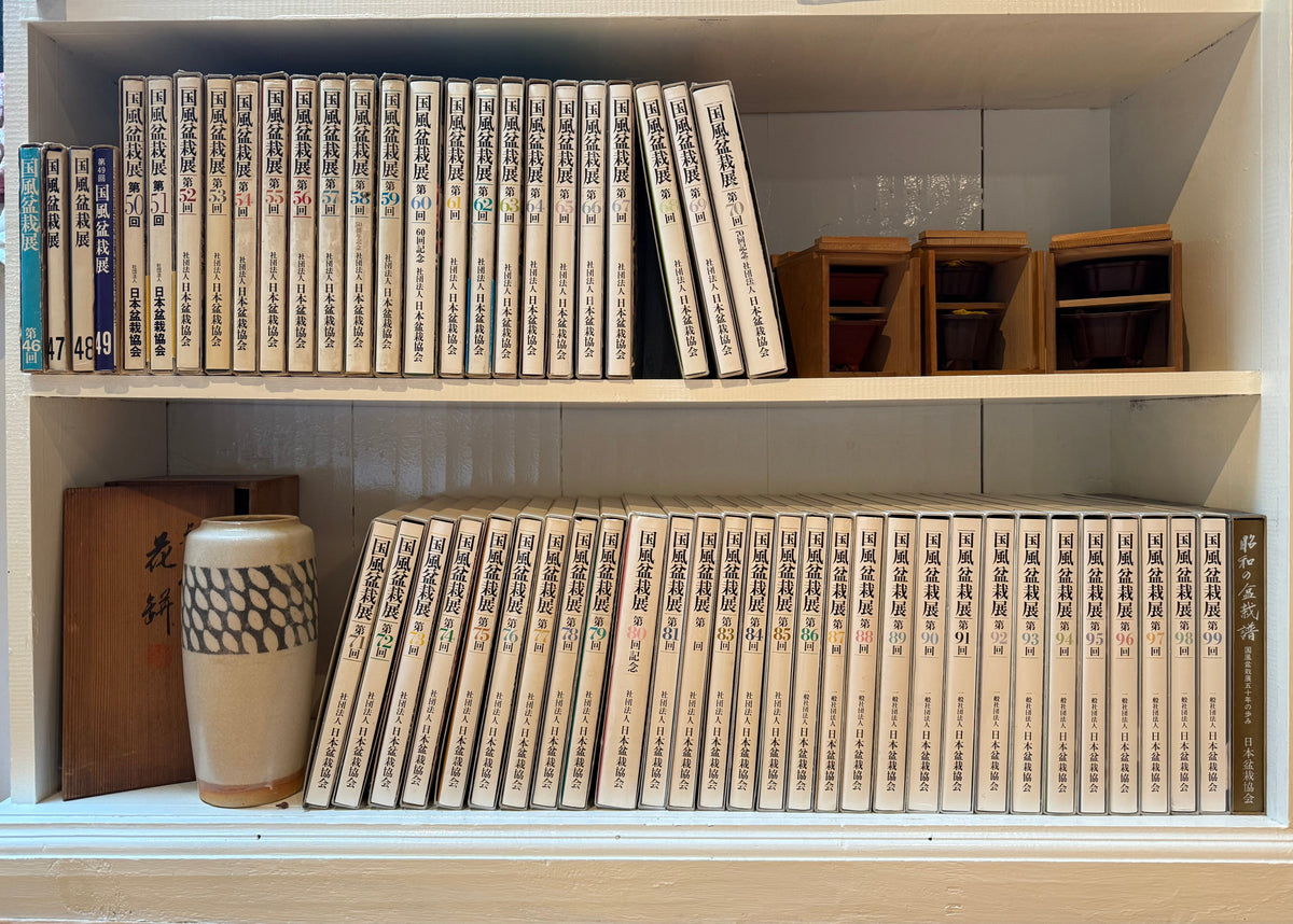 bonsai books