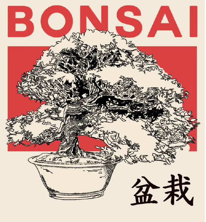 Beginner bonsai trees for sale — Canada Bonsai