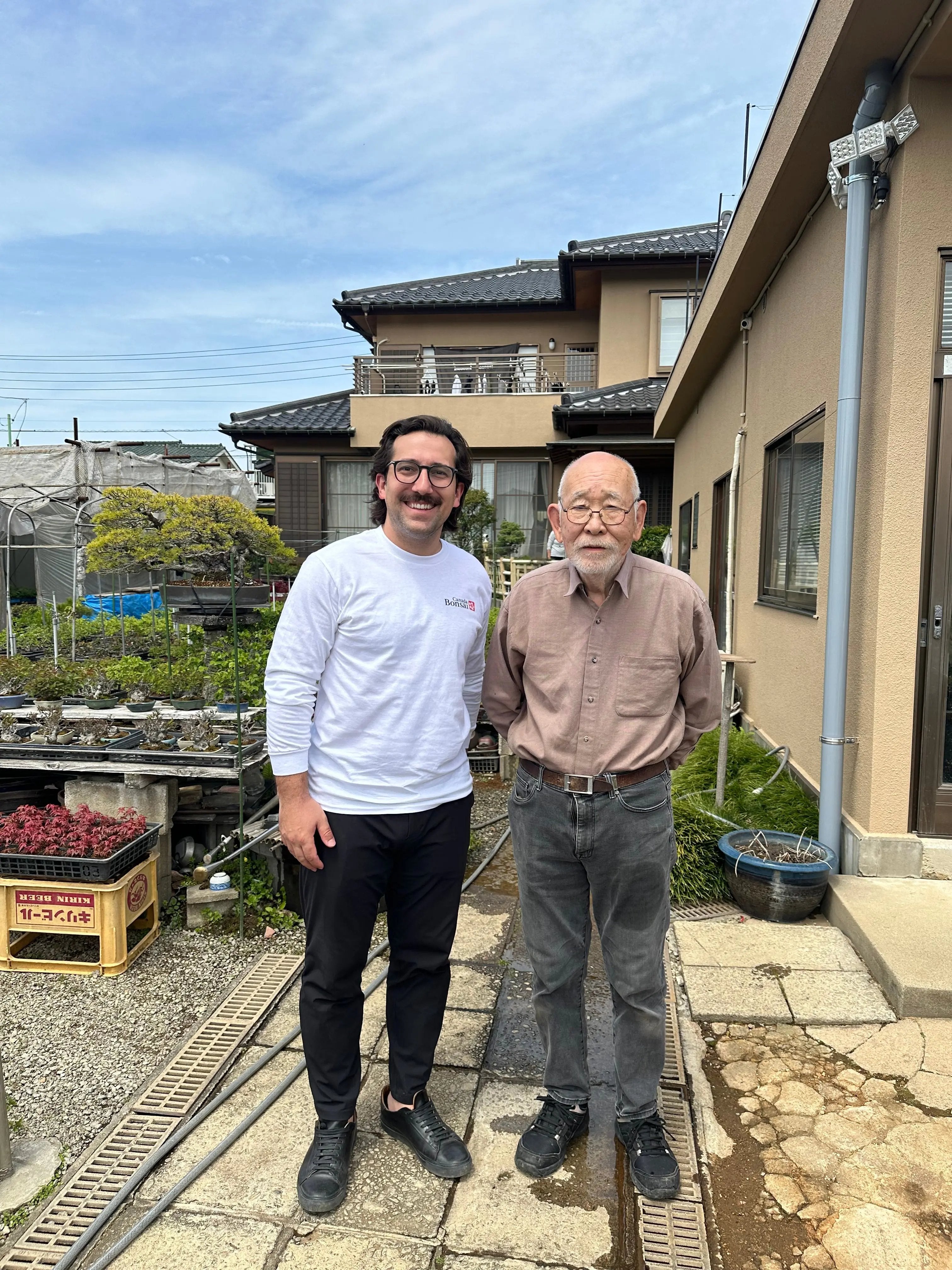 Callicarpa japonica (Toyoda-san) Canada Bonsai