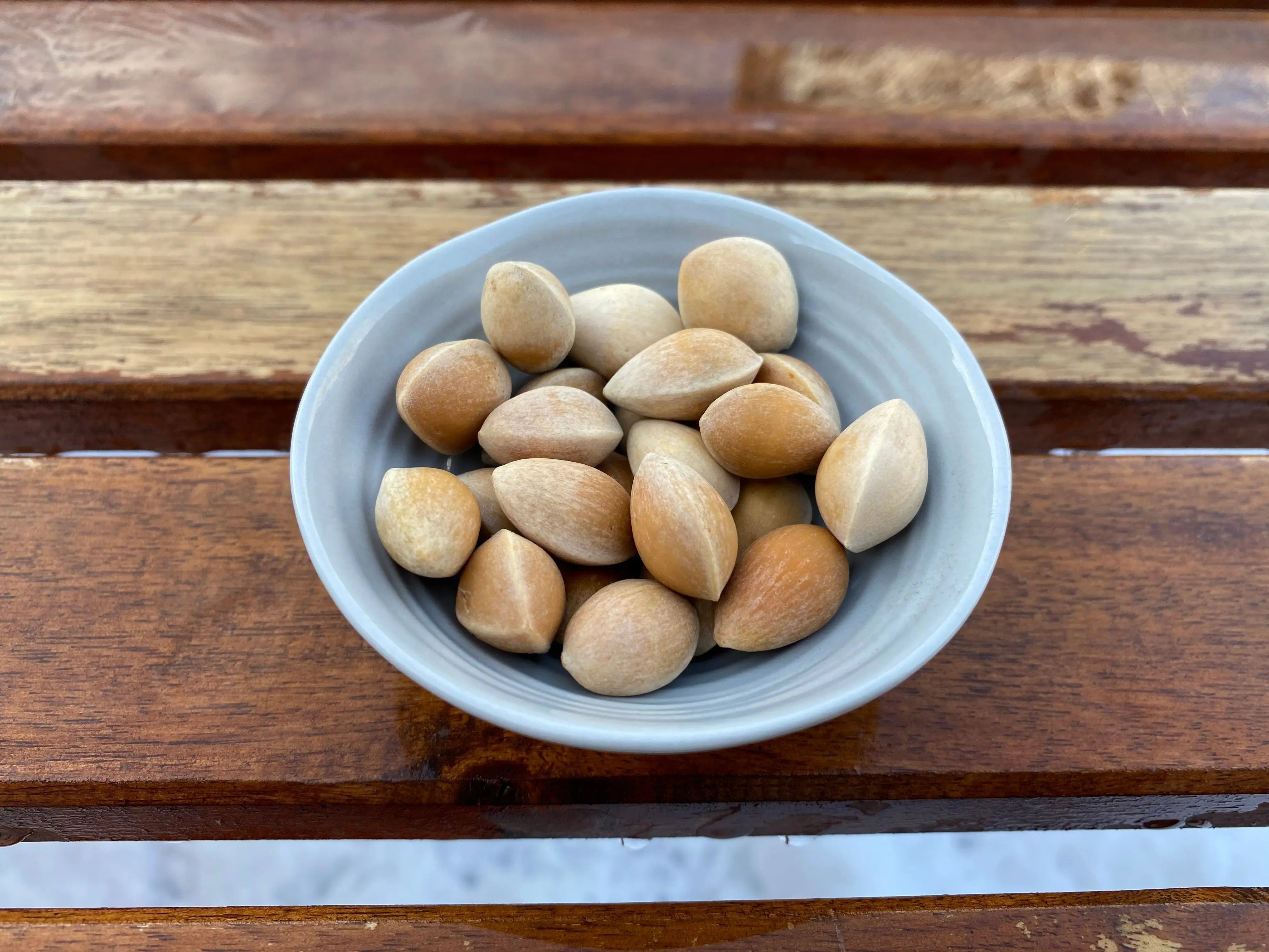 Ginkgo biloba CB Seeds