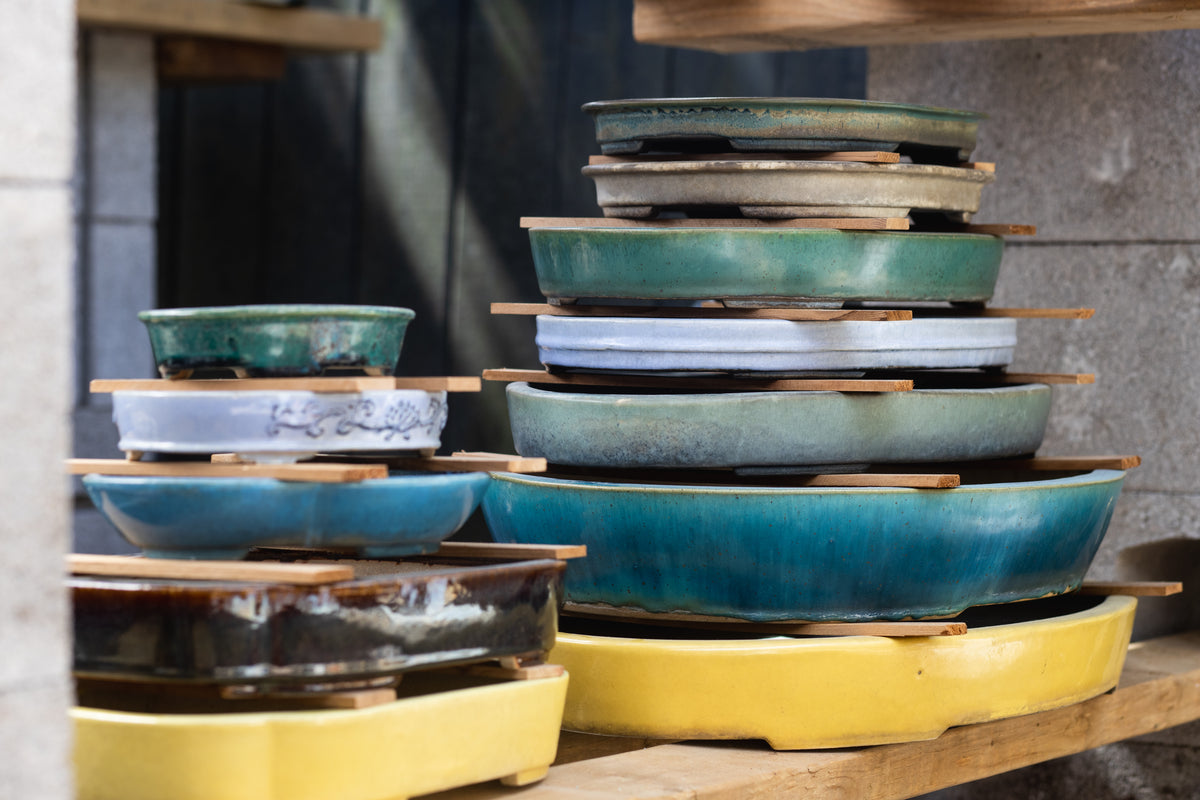 bonsai pots