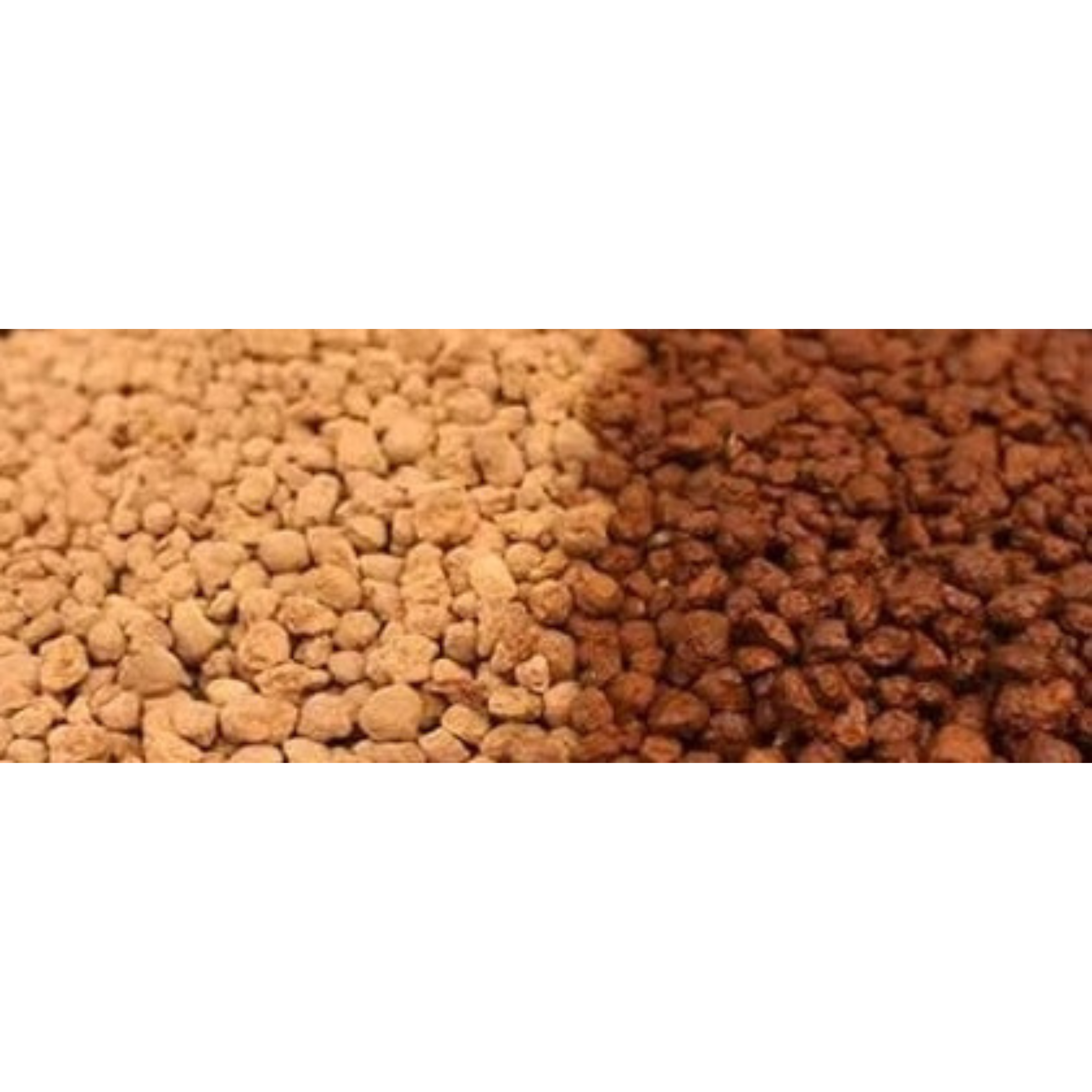 Beginner Bonsai Substrate